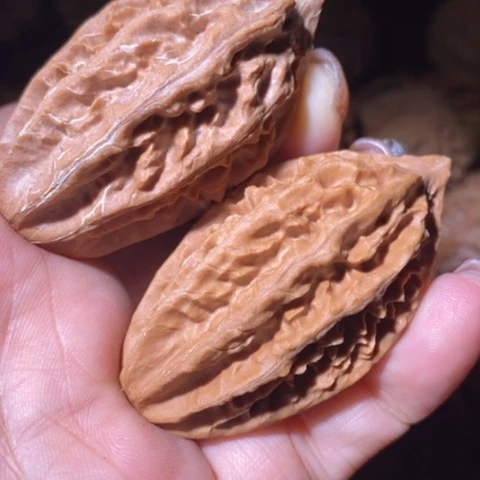 文玩核桃把件东北野生楸子小美56