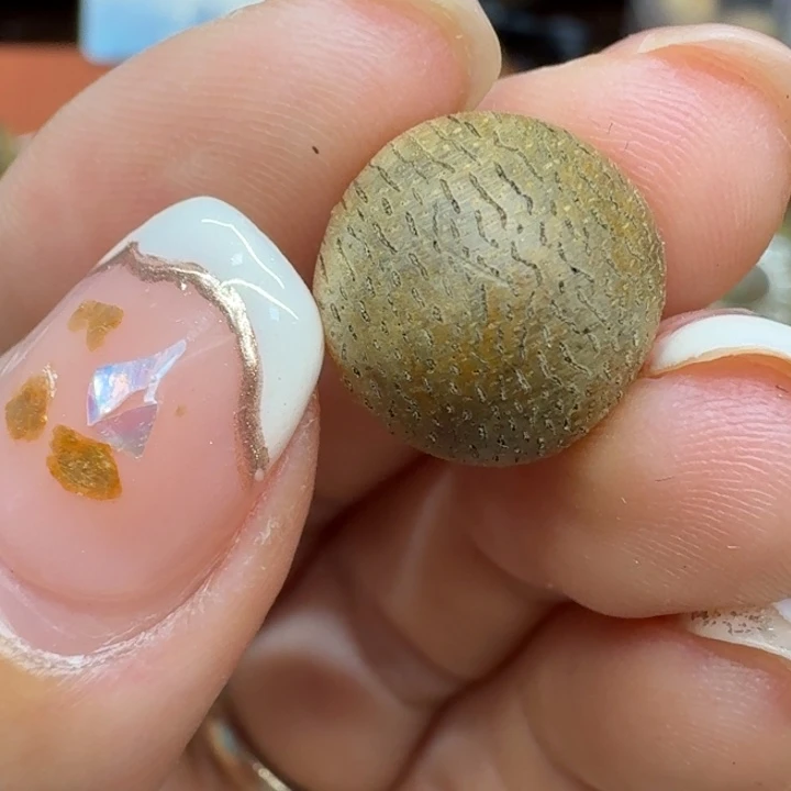 大叶紫檀（黑酸枝木类）