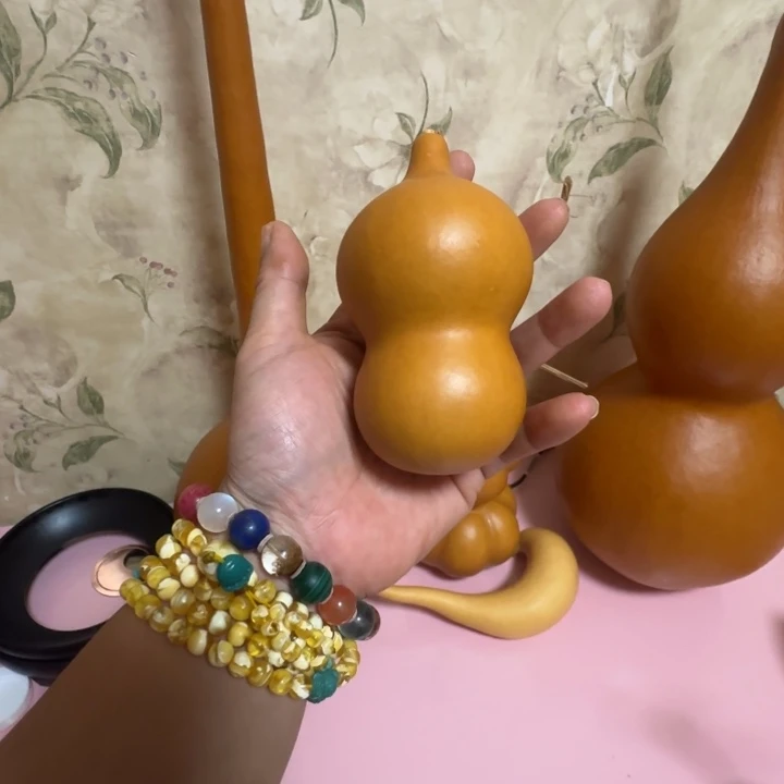 圈***圈精品课程等课程教学