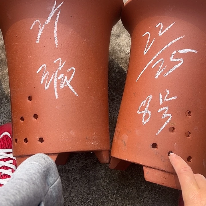 老***爷8号……………………………………………………