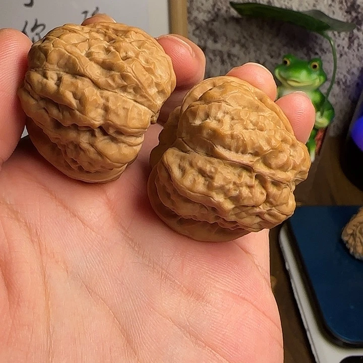 H***.40尺红红皮蛤蟆头