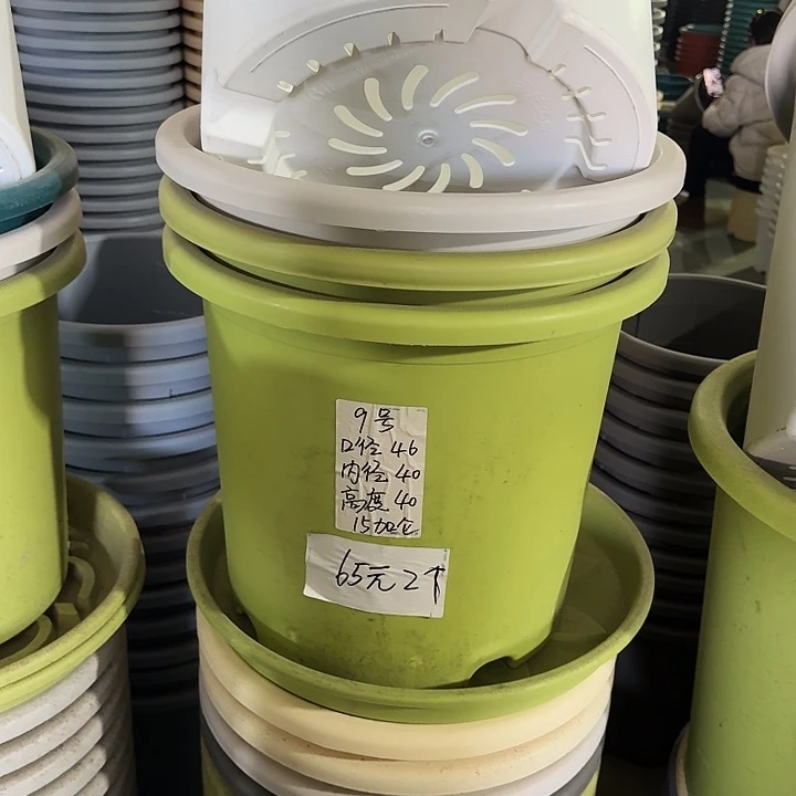 微瑕9#口径46果绿3个无托
