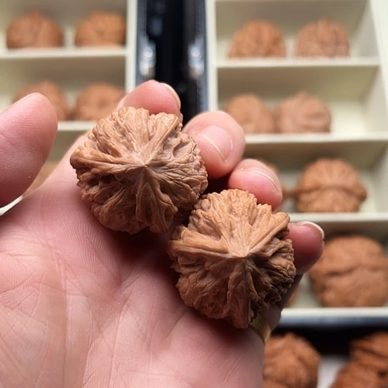 桃核吊坠全品御龙粗筋奔