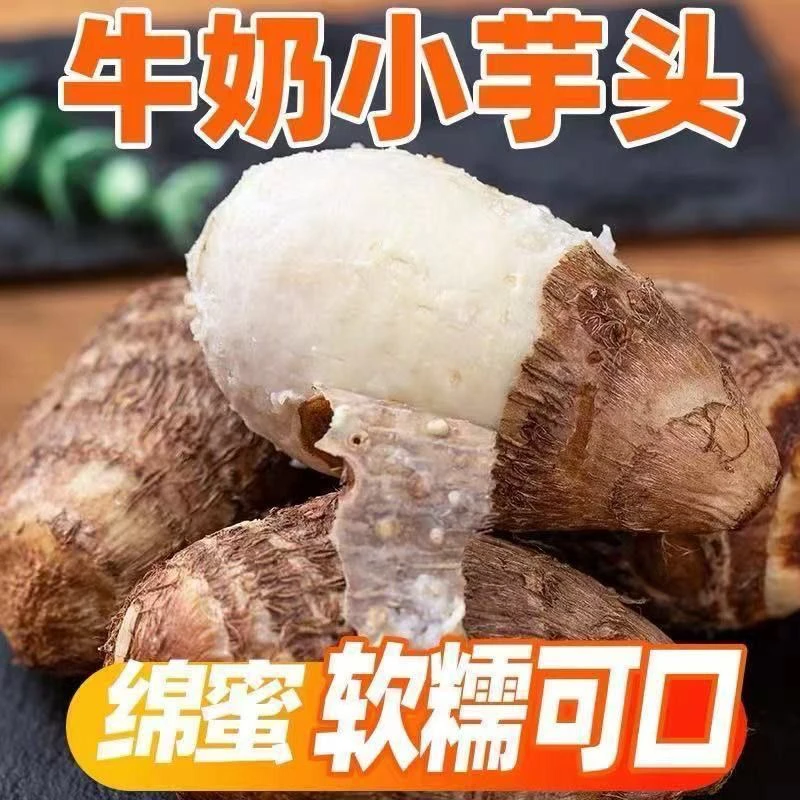 新鲜现挖牛奶小芋头粉糯香甜当季蔬菜