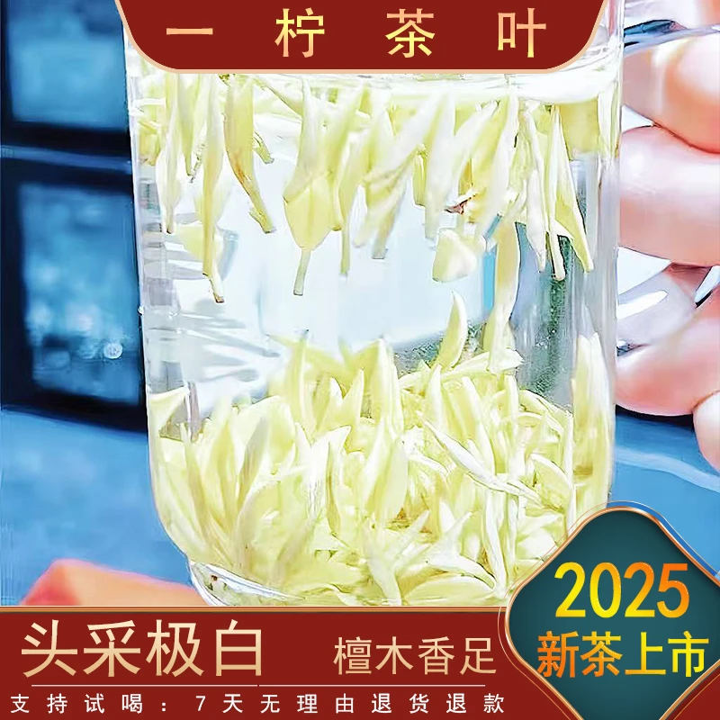 〖头春头采〗J1 一斤装头采极白白茶