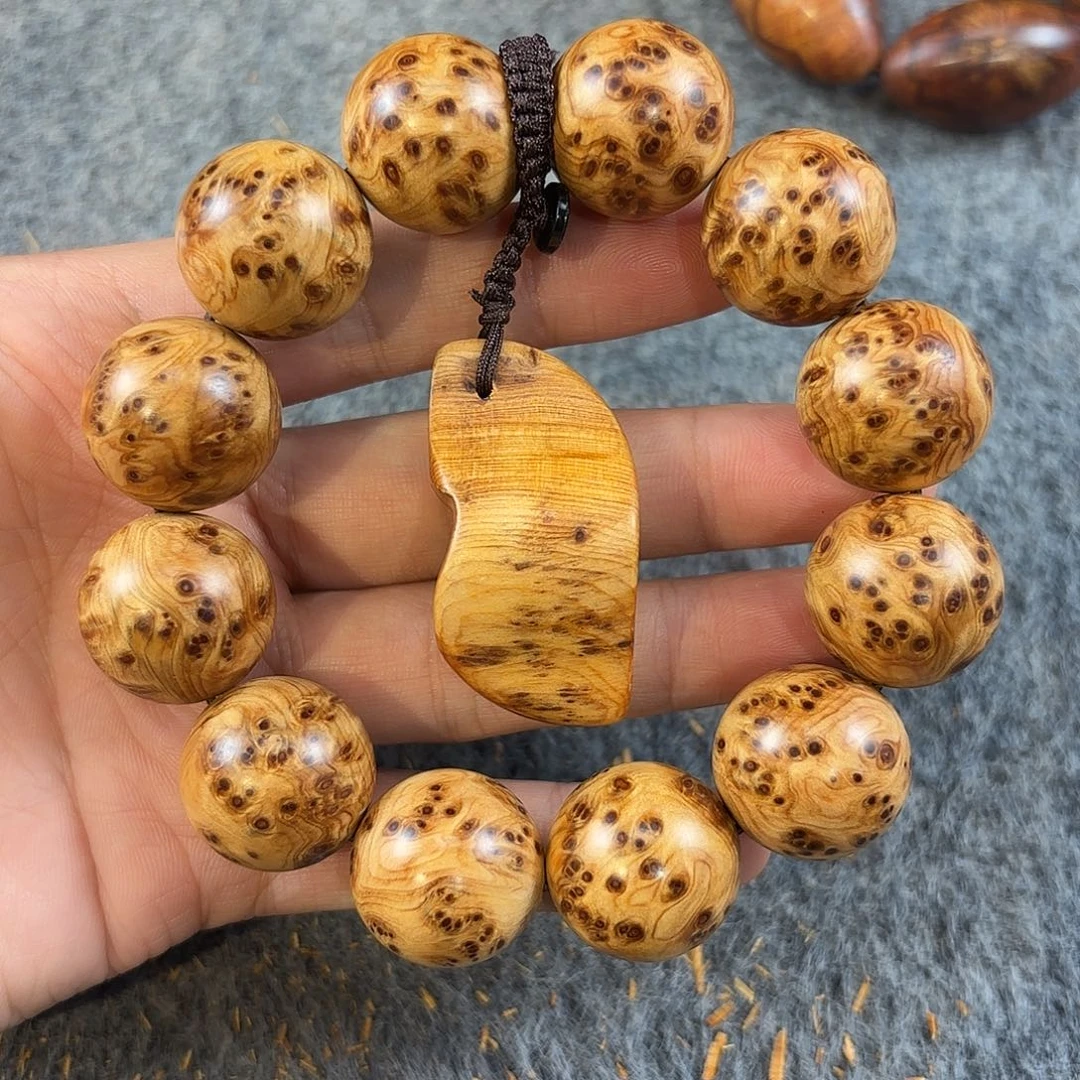 品***美崖柏太行崖柏榴花火焰凤尾2.0