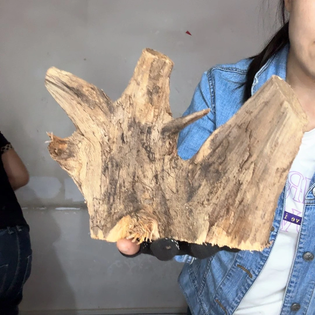 完***界木太行崖柏摆件摆件