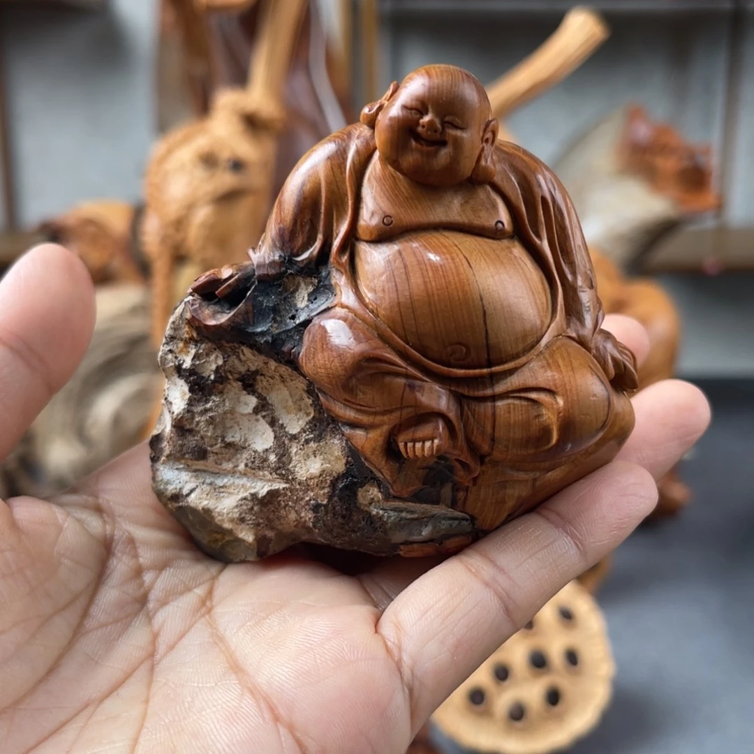 柏木（崖柏）崖柏太行山脉