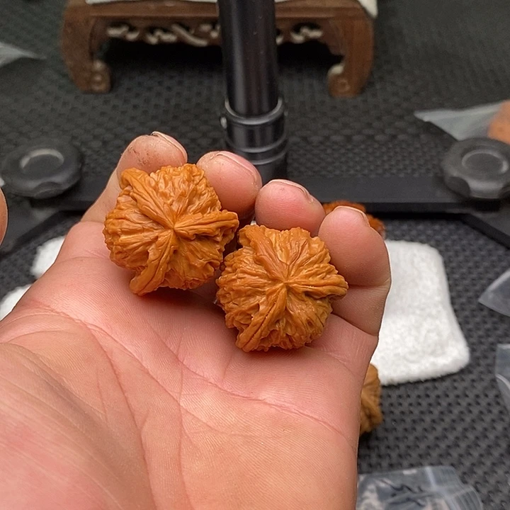 手串/手链核桃拼接白狮子13