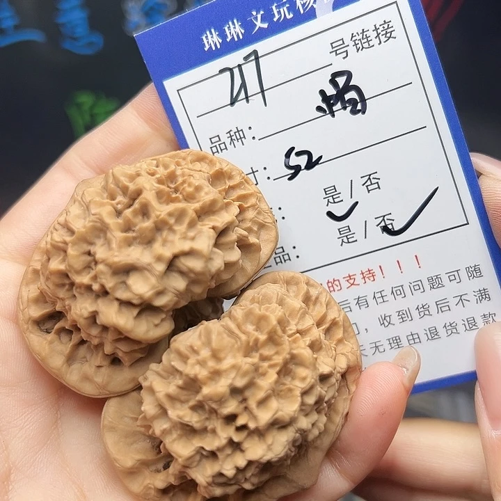 文玩核桃吊坠核桃树217