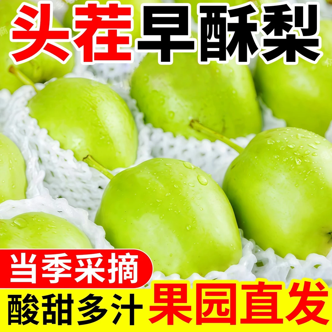 甘肃高山水果大果青皮早酥梨新鲜水果酥脆多汁甘甜整箱网红水果