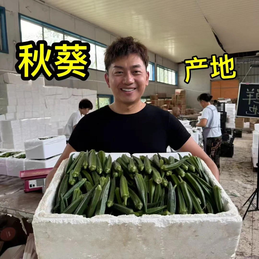新鲜水果秋葵羊角豆3斤-5斤 黄秋葵新鲜蔬菜基地直发【新品促销】