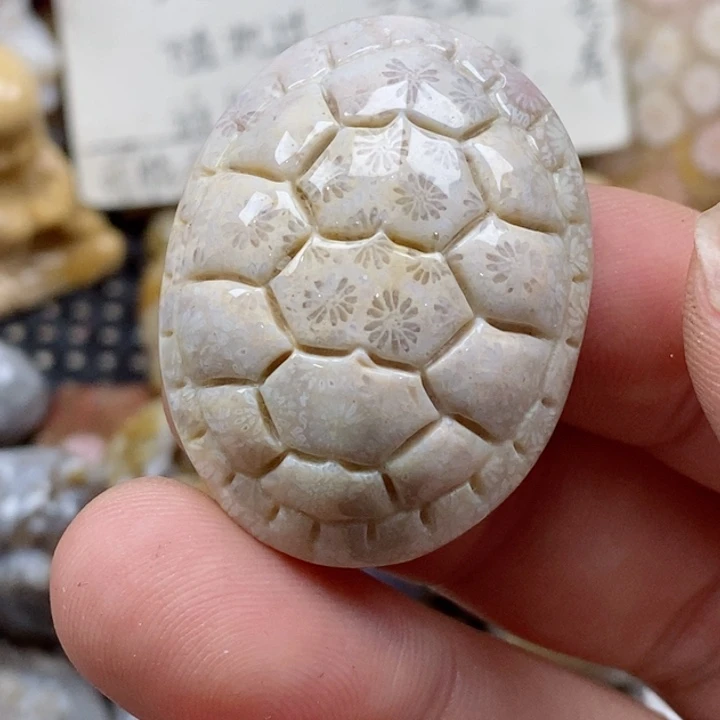 颈饰未镶嵌硅化珊瑚（珊瑚玉）s*浪