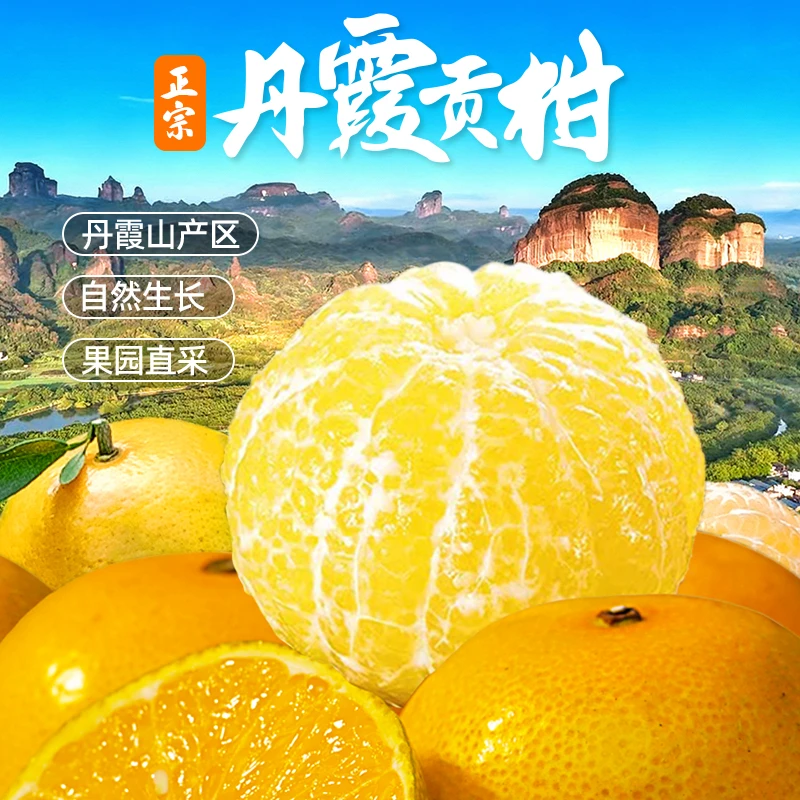 正宗广东韶关丹霞贡柑皇帝柑新鲜现摘薄皮味甜多汁蜜桔当季水果