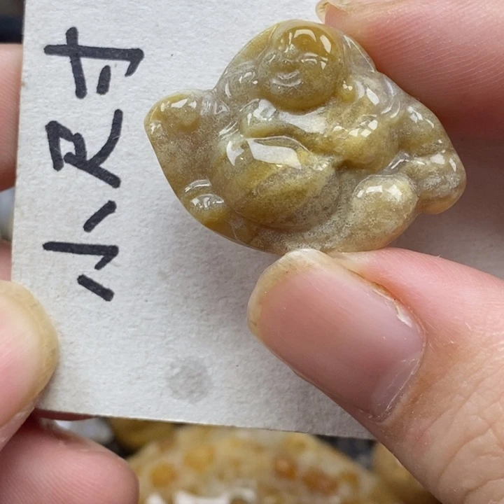 硅化珊瑚（珊瑚玉）未镶嵌颈饰
