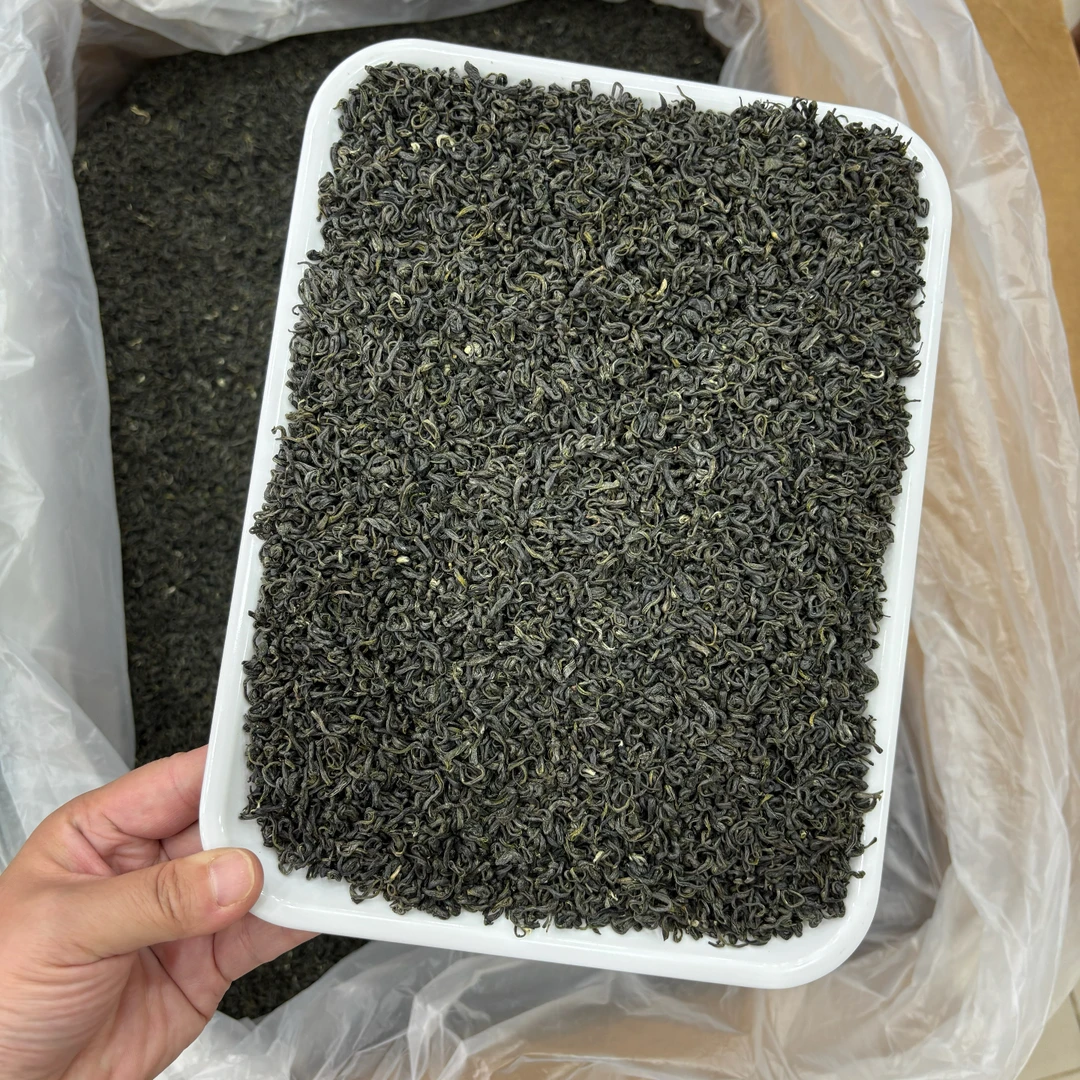 2025年新茶四川蒙顶山绿茶栗香耐泡碧螺春型口粮茶