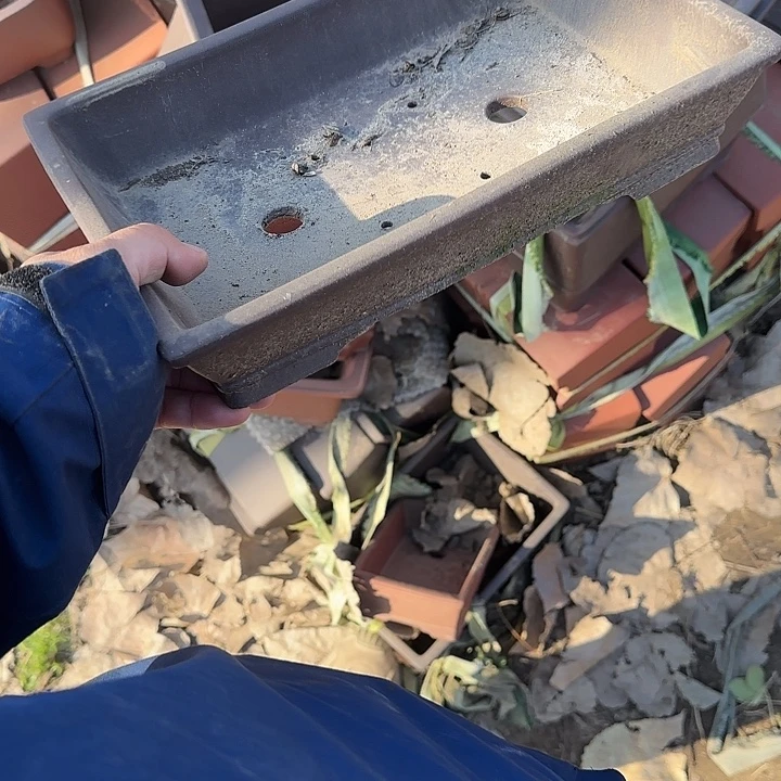 一次也不能多打个两万个嘛