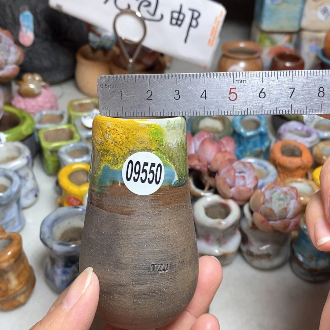 拍5送一个小礼物