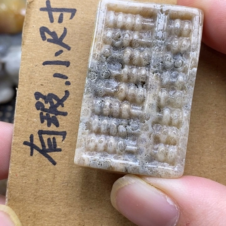 硅化珊瑚（珊瑚玉）未镶嵌颈饰