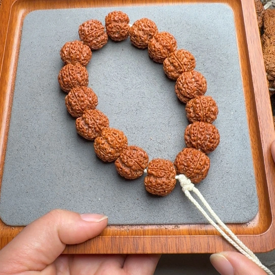 菩提菩提25号尼泊尔大金刚21深沟梅花