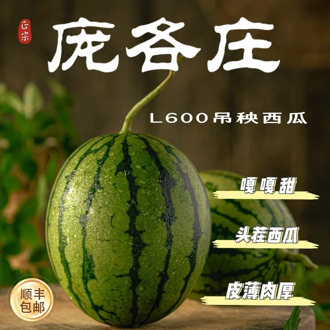 庞各庄头茬L600吊秧西瓜/3-4颗/10-12斤新鲜北京市