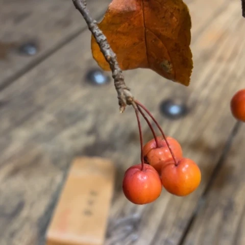 天天开心时时快乐