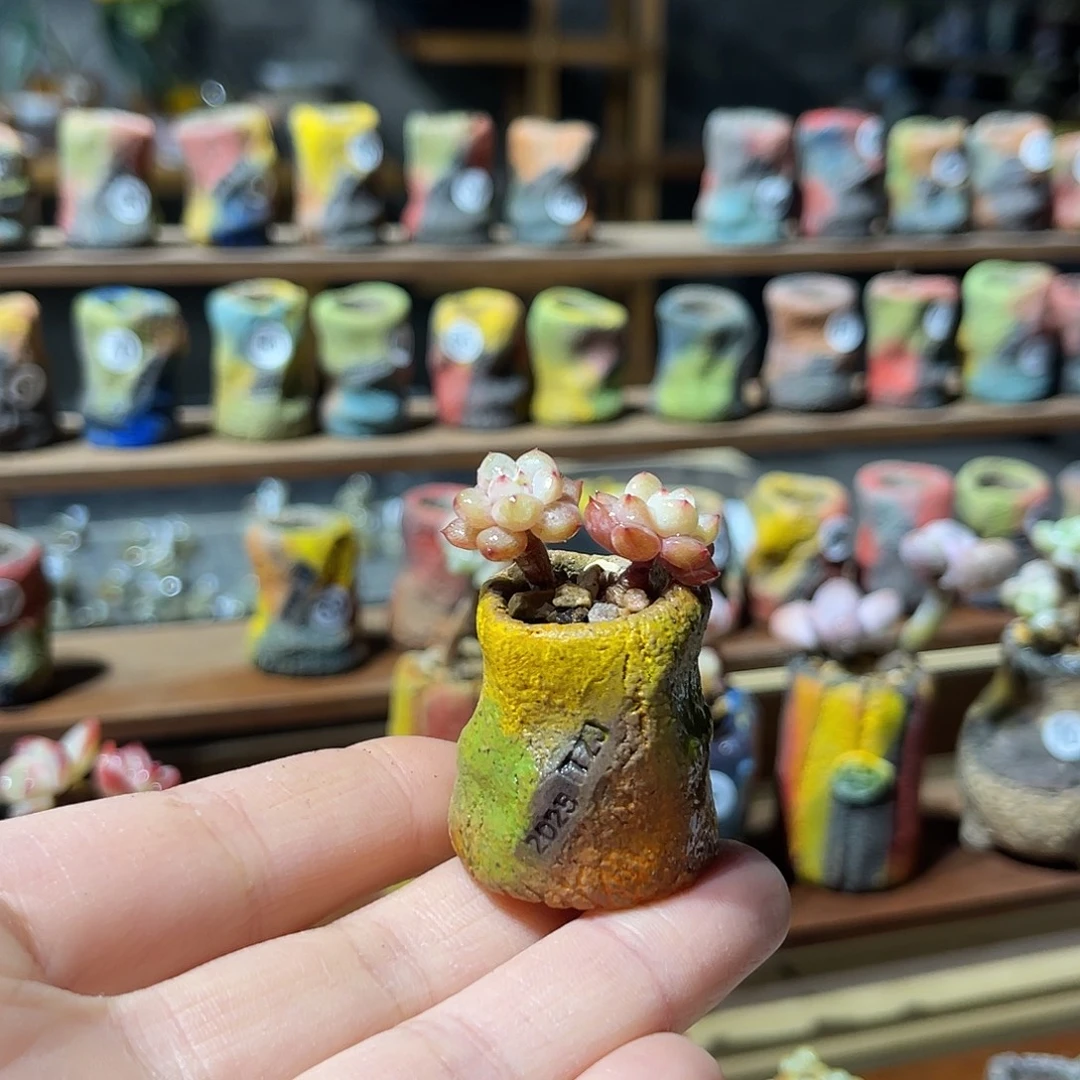 我***森盆加肉一组内口1.2外高3