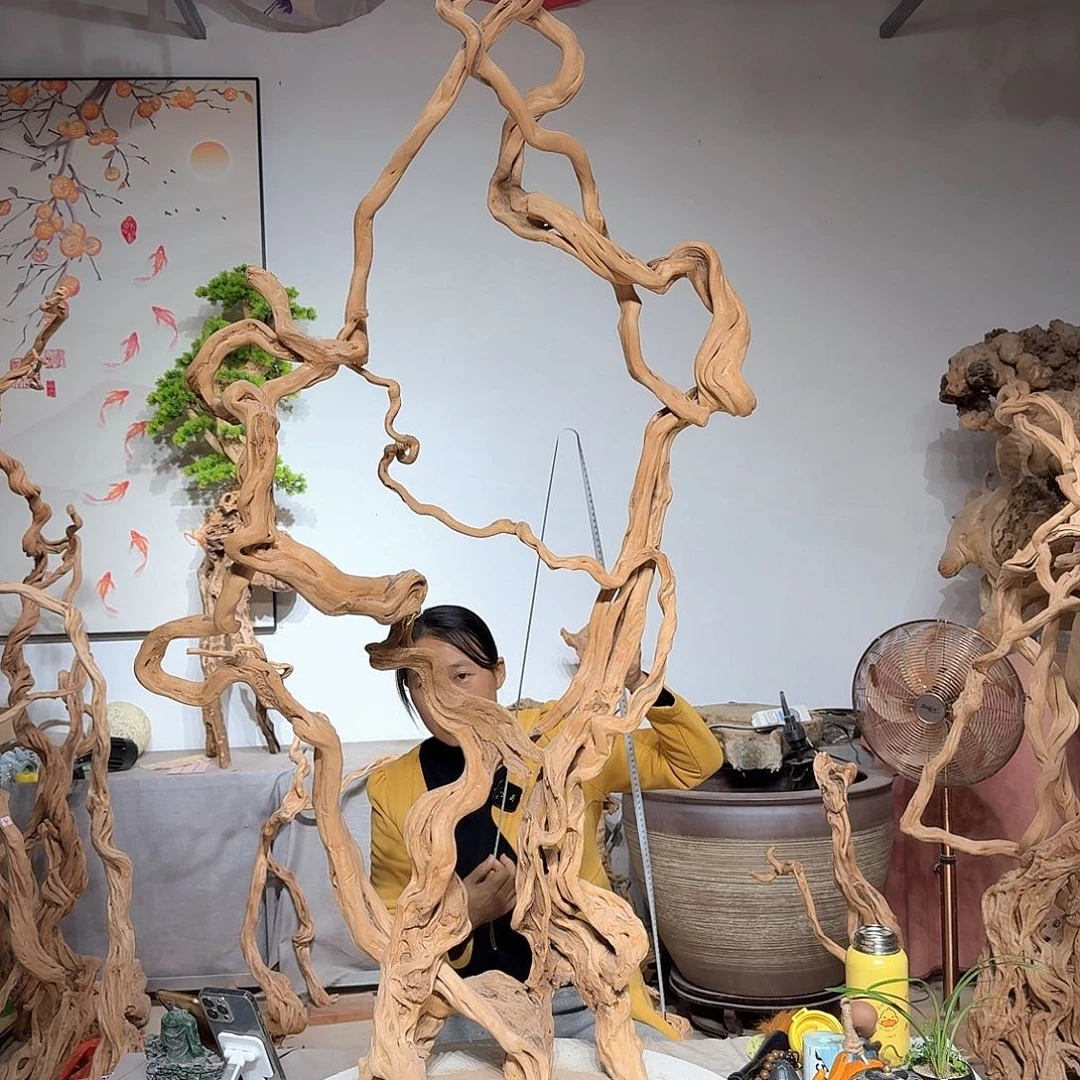 爱***8杜鹃根艺术中心根艺术