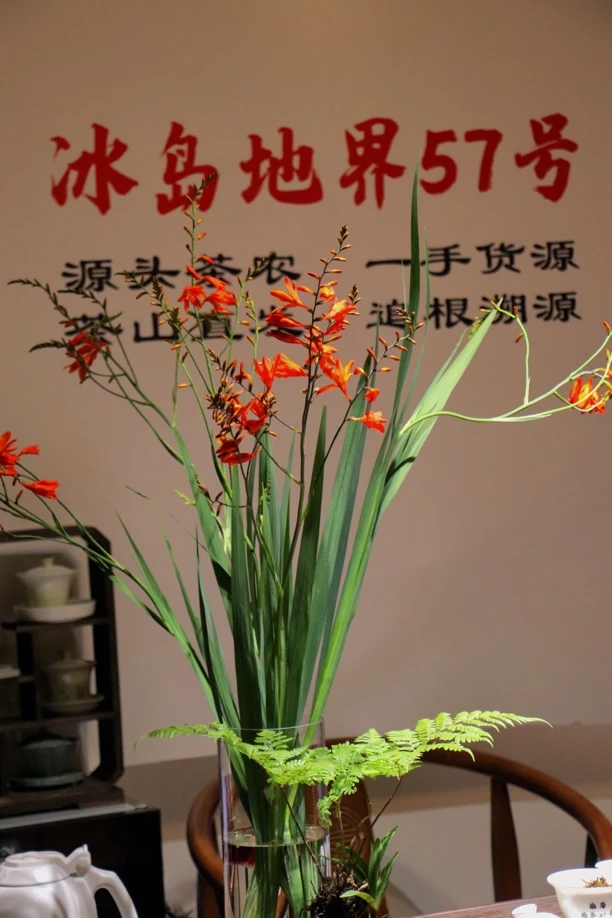 冰岛地界 57 号（五妹） 通用链接