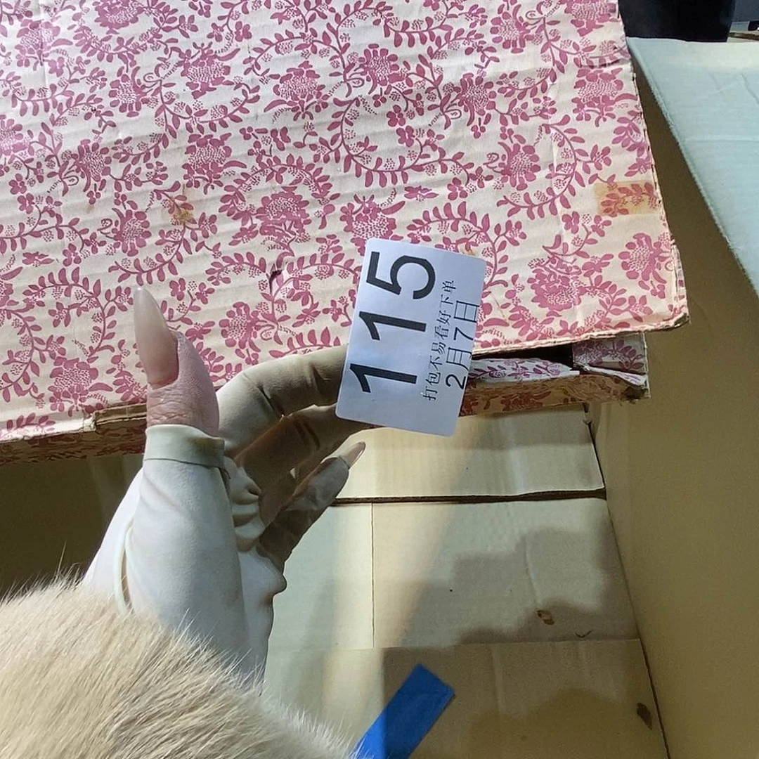 杯别*我啦啦啦丽江丽江丽江丽江丽江