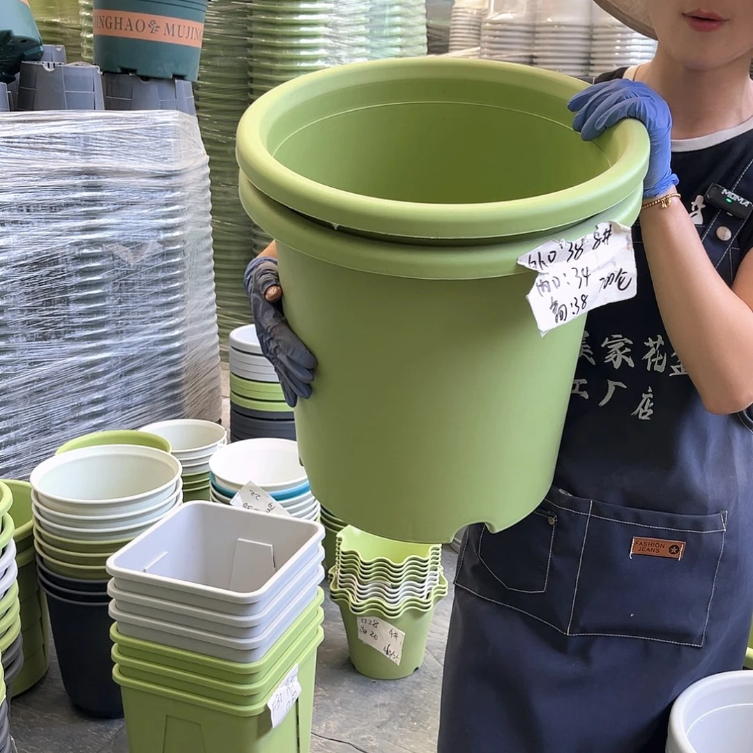 四季盆8#果绿色5个无托