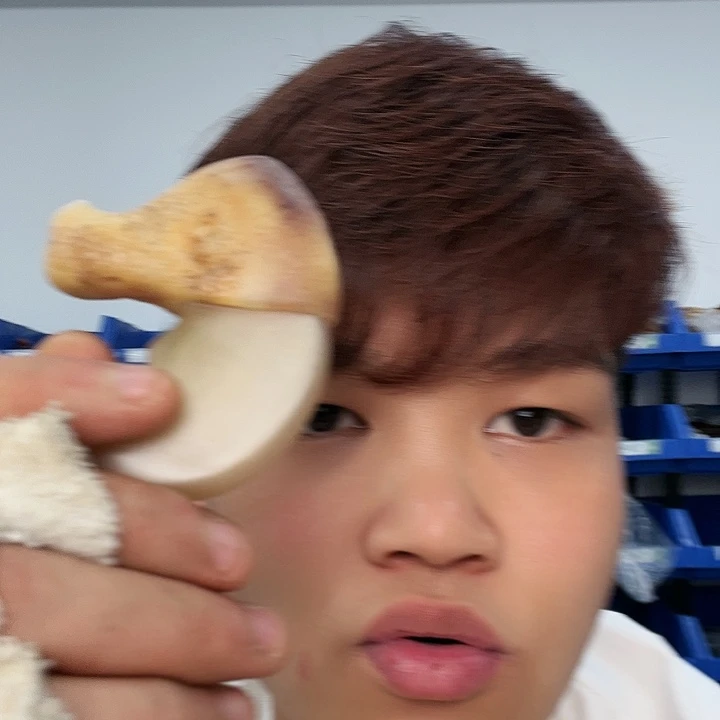非金属木质大*瓜A307¥！njkkmmkkkkkk
