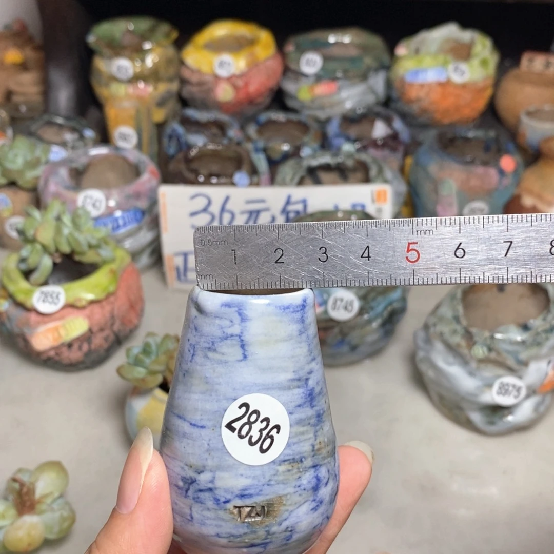 拍5送一个小礼物