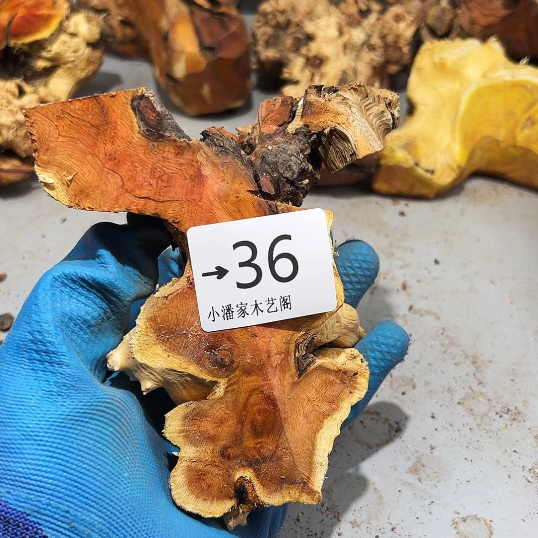 香榧木斌**李火琉璃……火琉璃