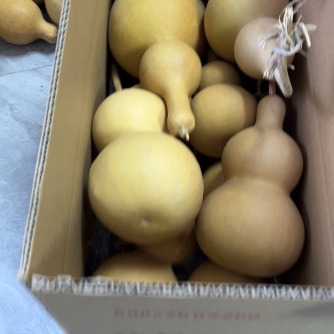 清***夏有机玻璃葫芦葫芦