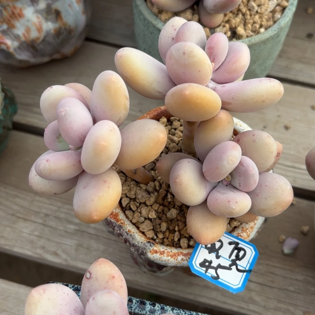 111111111111111111111