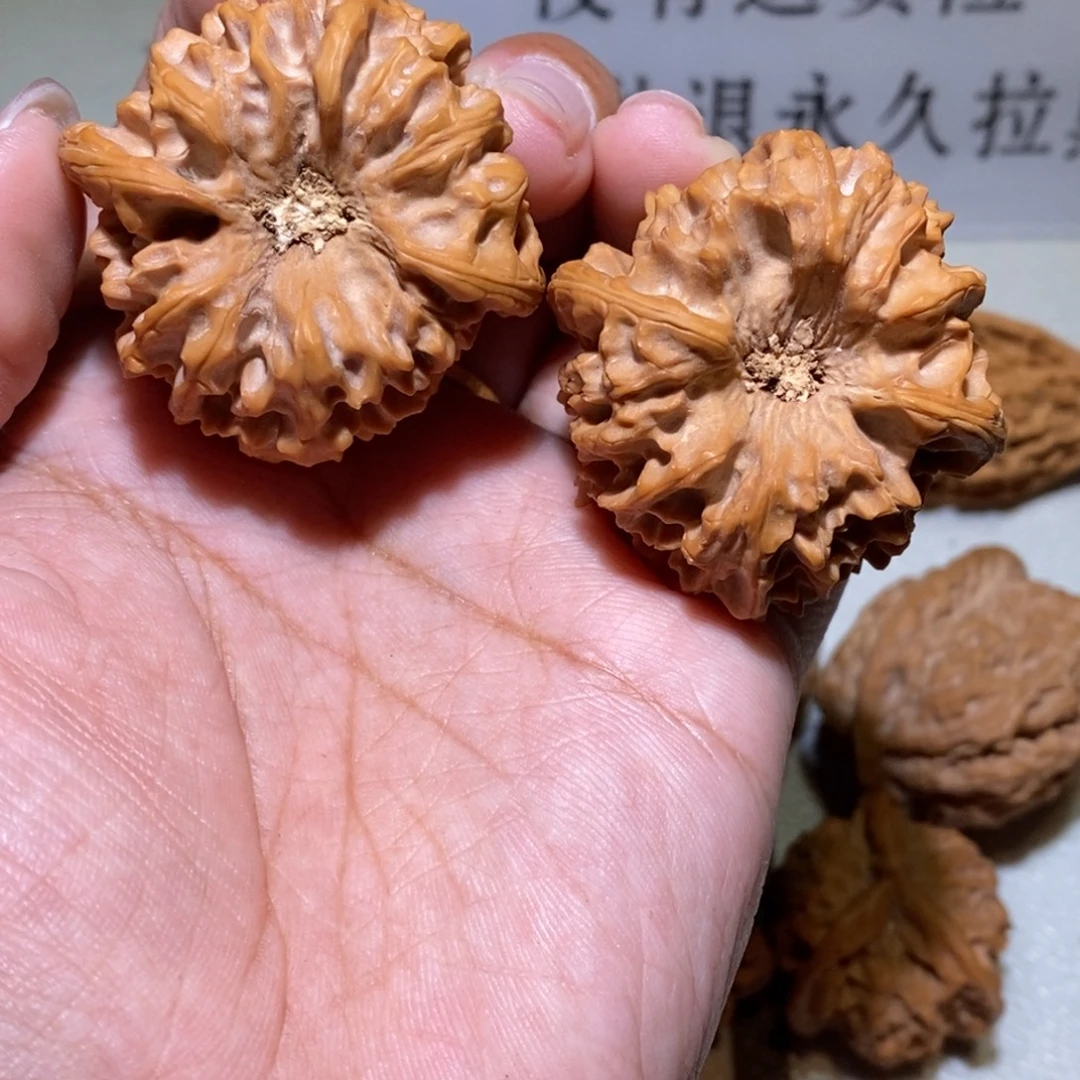 2***℃核桃手串/手链龙门41