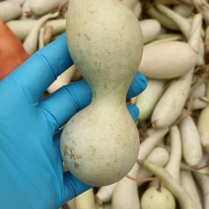 ****…有机玻璃直播间里拍品链接