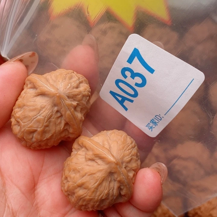 舍利子31尺36肚037号
