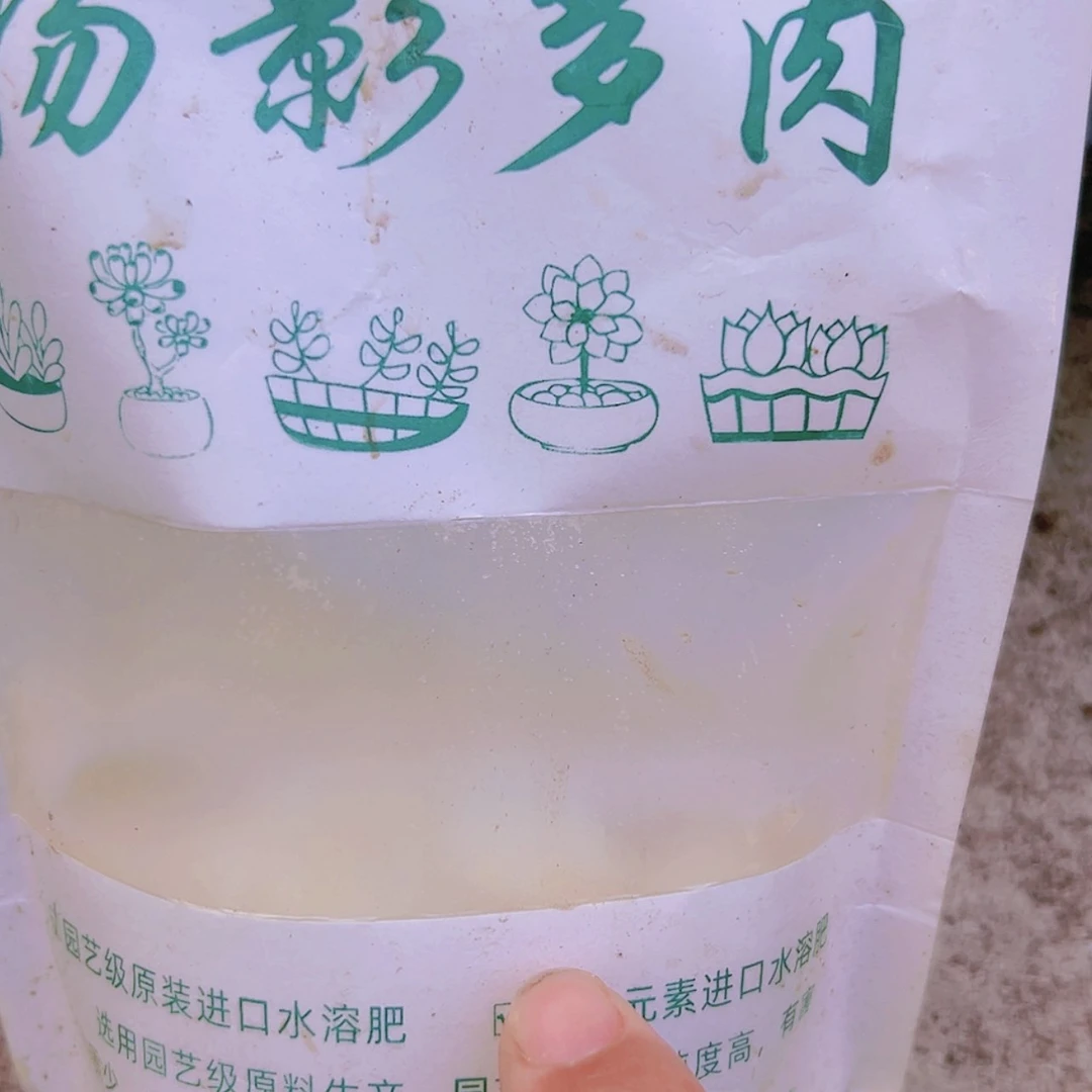 【闪购商品】鲜花绿植多肉植物2份
