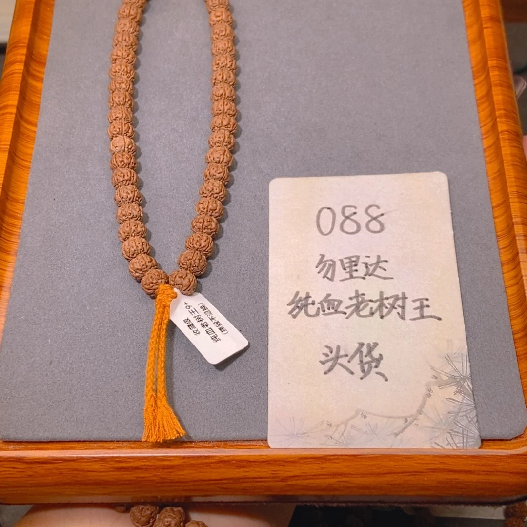 手串金刚菩提088头货勿里达纯血老树王9.1