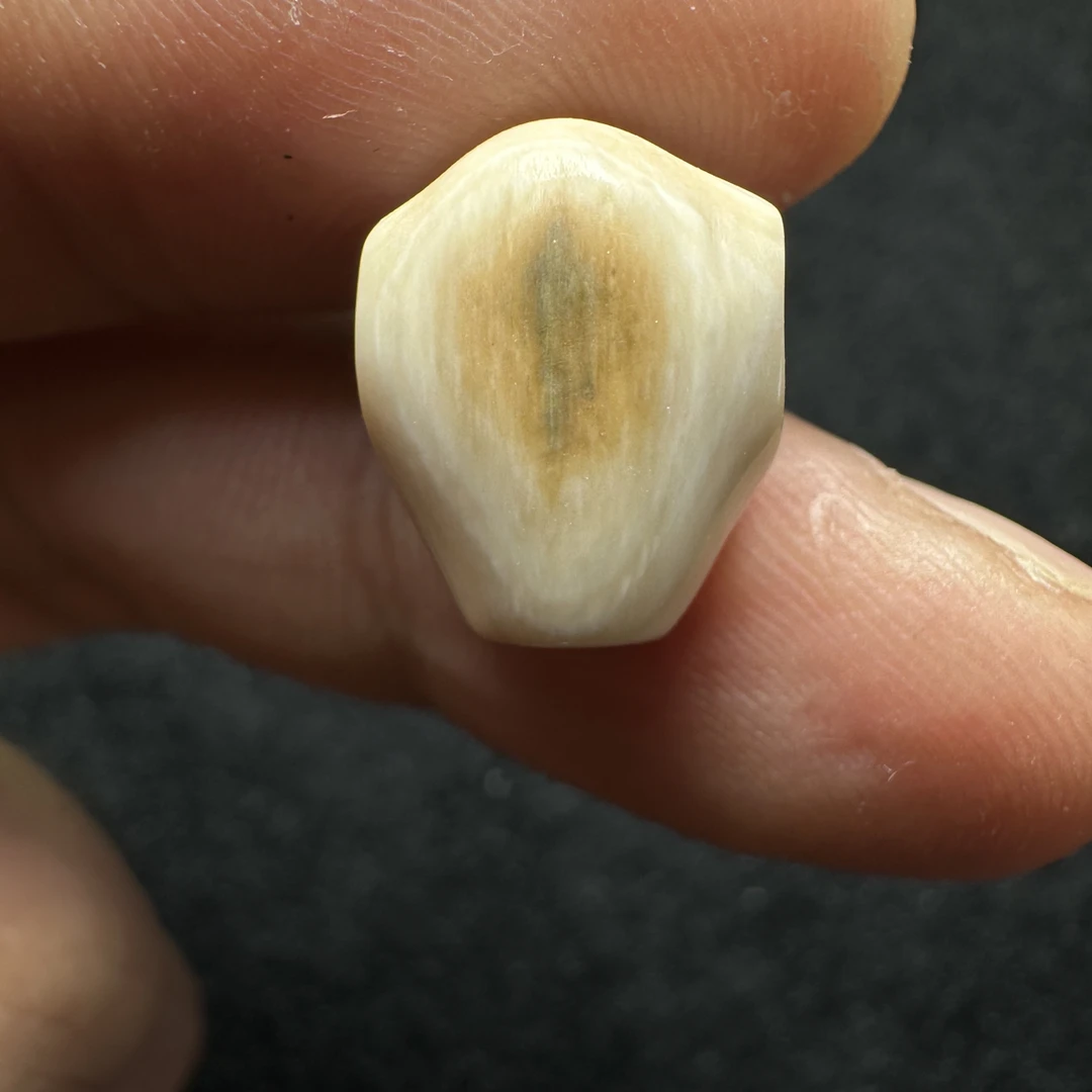 F291猛犸象牙对孔11.6mm冰料果冻蓝皮鲨鱼背三通