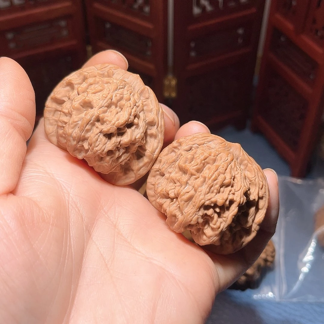 43狮虎兽，粗筋厚棱……