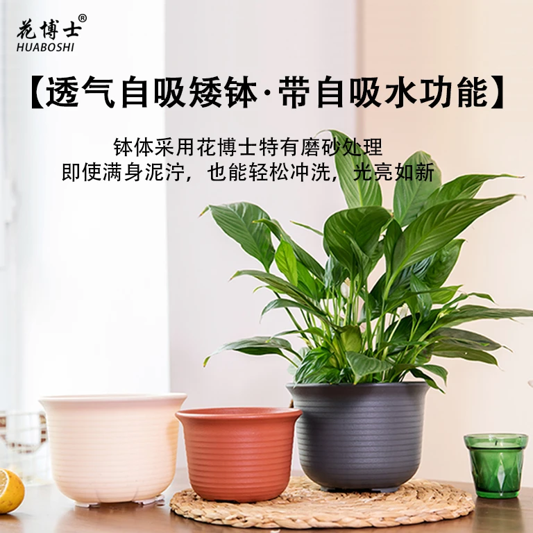 155#懒人自吸水矮钵花盆(外口径15.3cm高11.5cm)花卉绿植绿萝盆