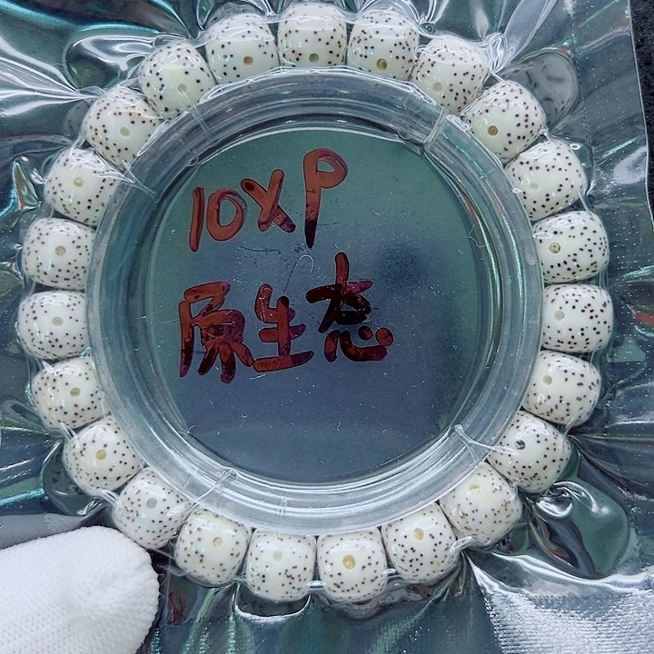吊坠星月菩提10尺寸