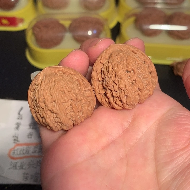 文玩核桃吊坠34尺红玛瑙