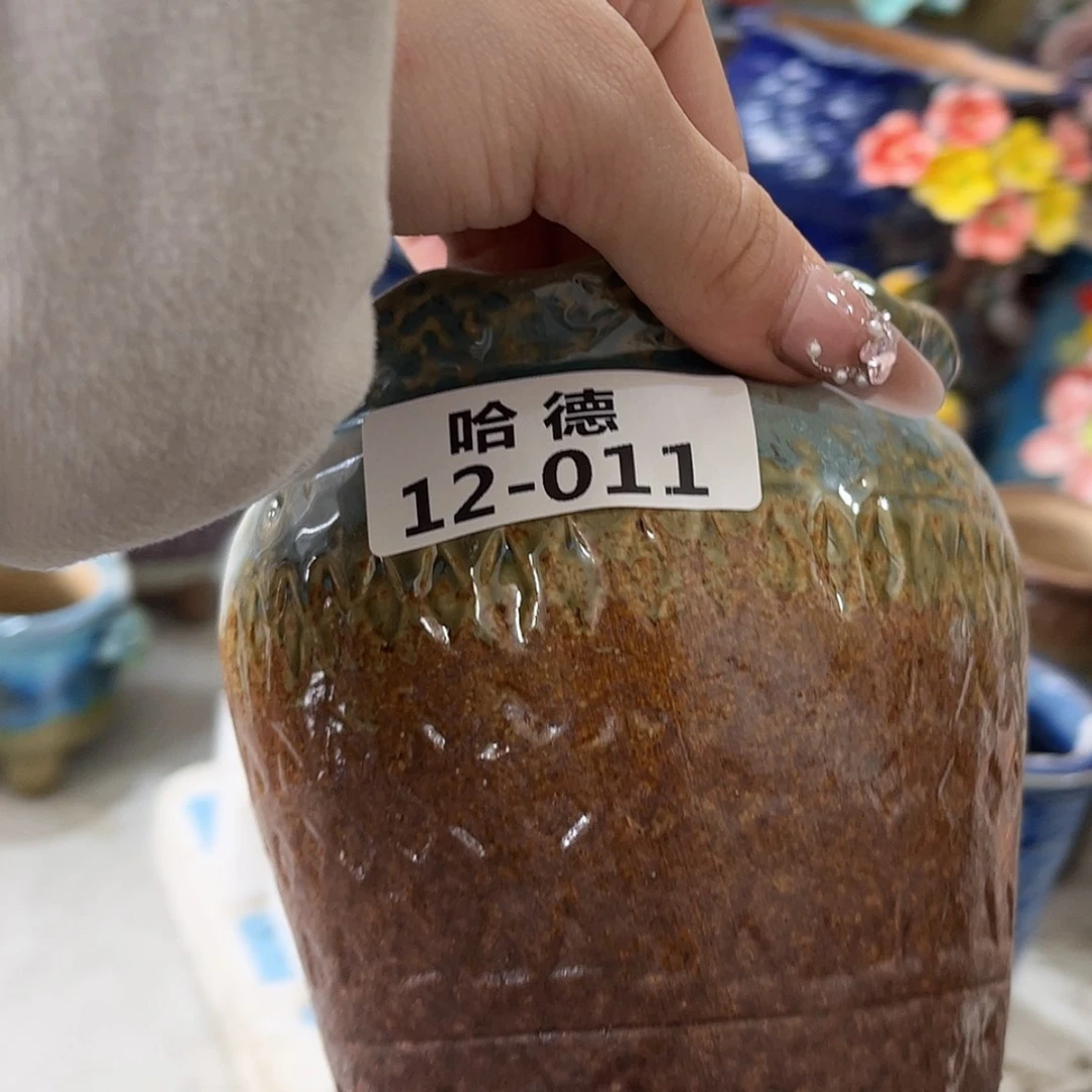 【闪购商品】红陶1211