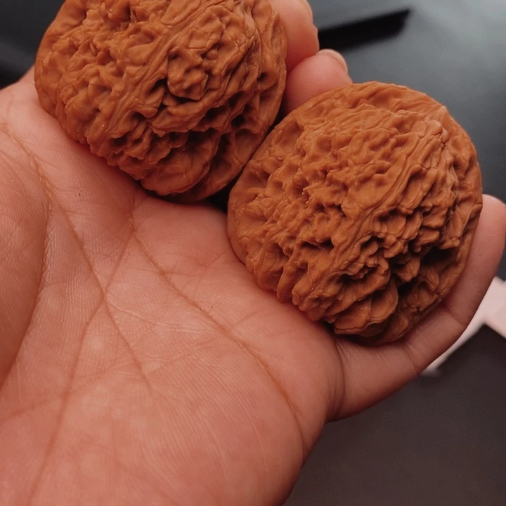 核桃南疆43尺核桃
