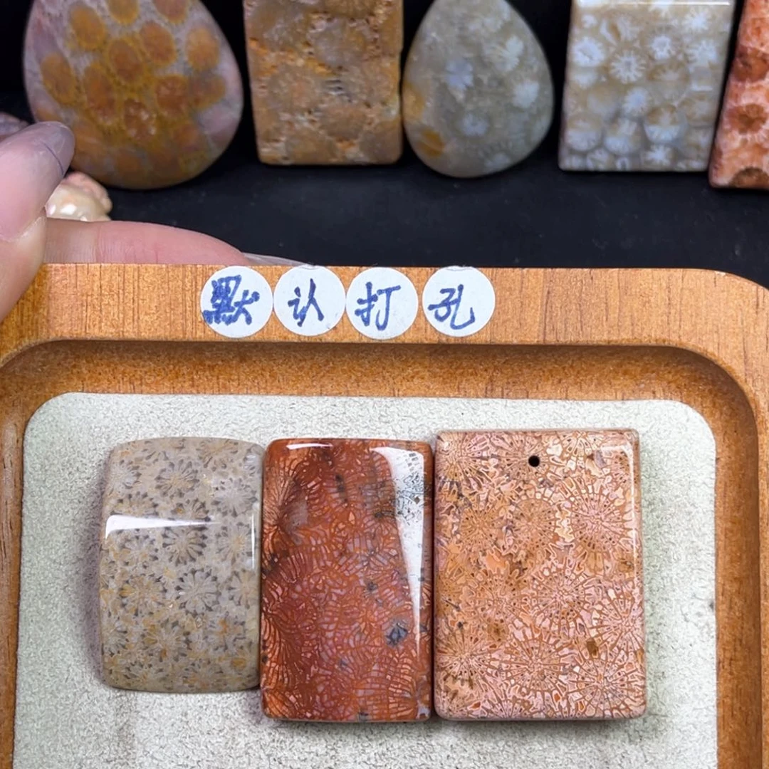 硅化珊瑚（珊瑚玉）吊坠未镶嵌