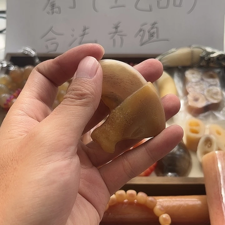 树脂福利多多 合法摆件